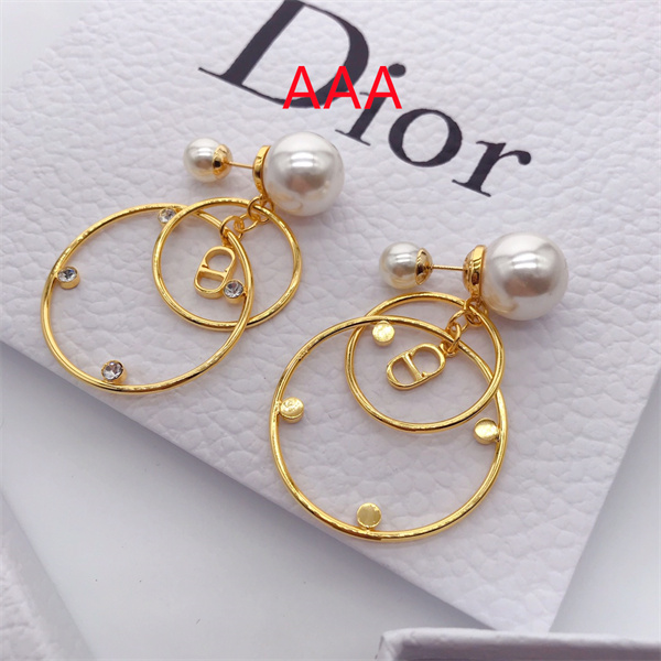 Dior Earrings-217