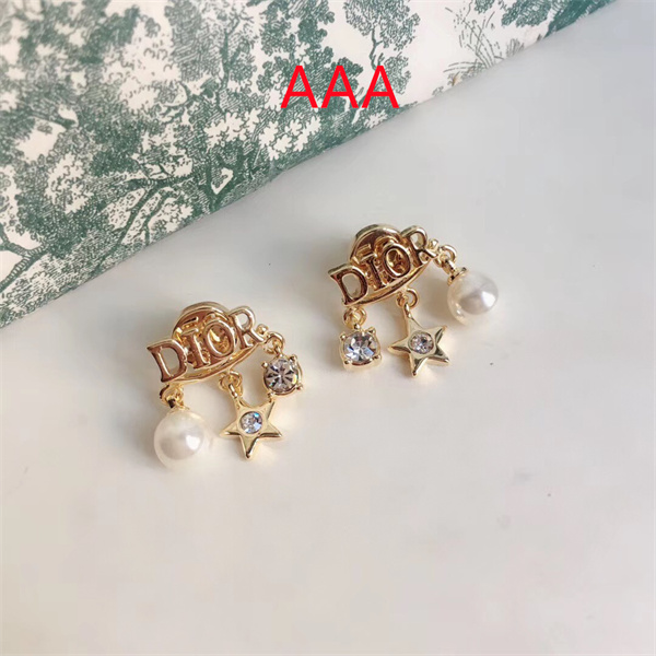 Dior Earrings-022