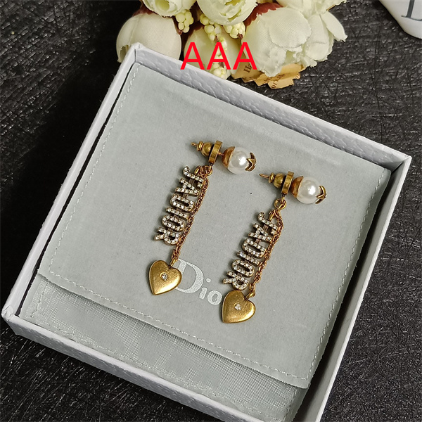 Dior Earrings-228