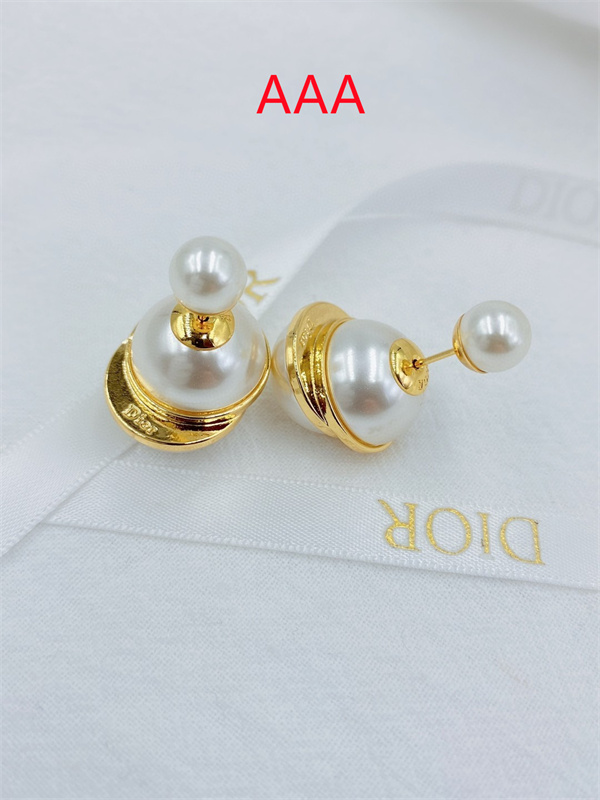 Dior Earrings-229