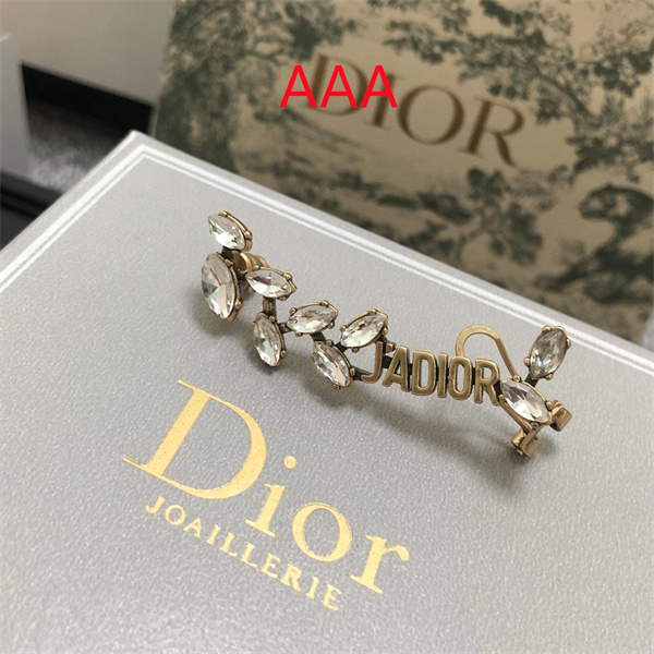 Dior Earrings-231