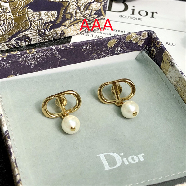 Dior Earrings-239
