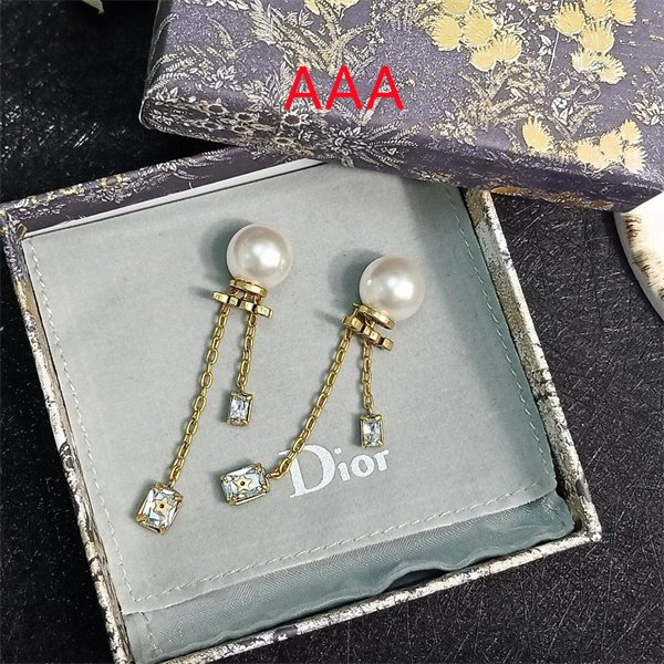 Dior Earrings-247
