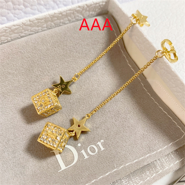 Dior Earrings-025