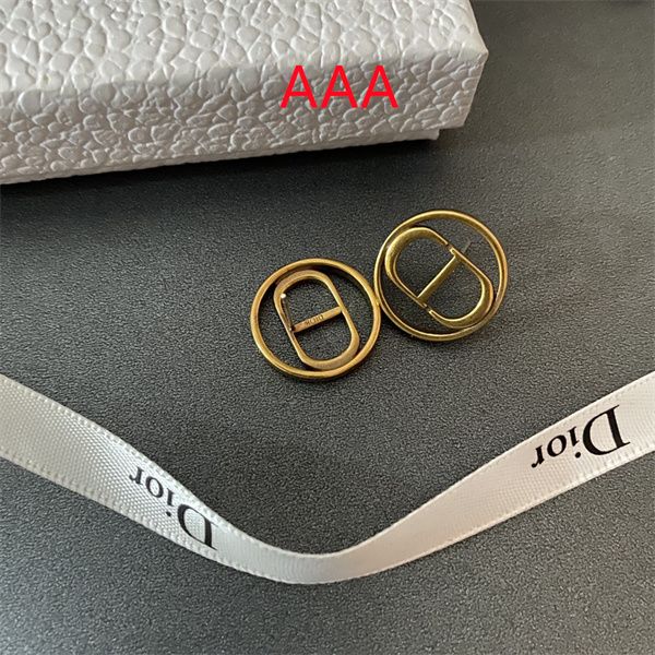 Dior Earrings-265