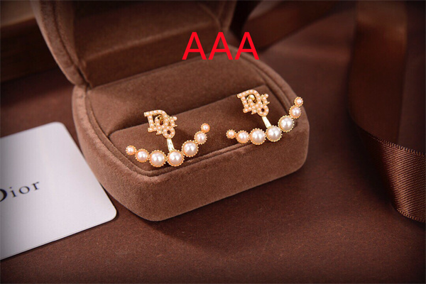 Dior Earrings-274