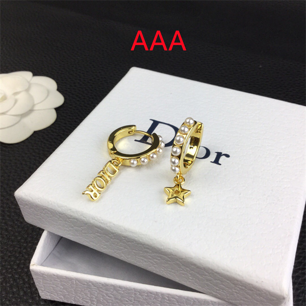 Dior Earrings-289