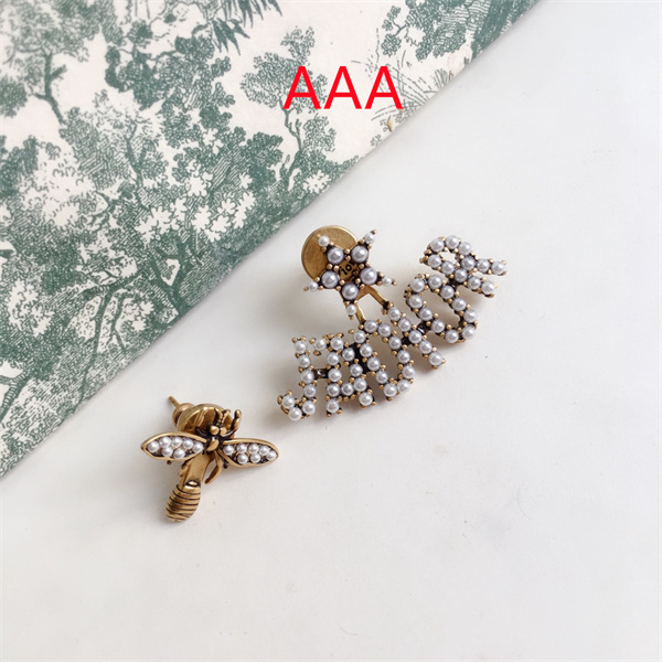 Dior Earrings-029