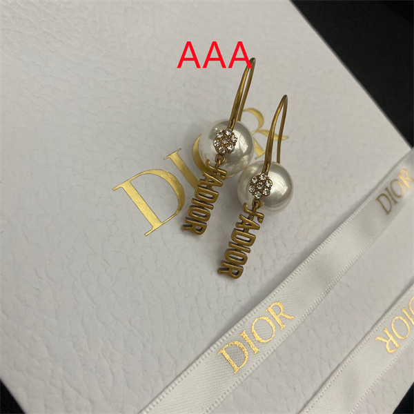 Dior Earrings-292