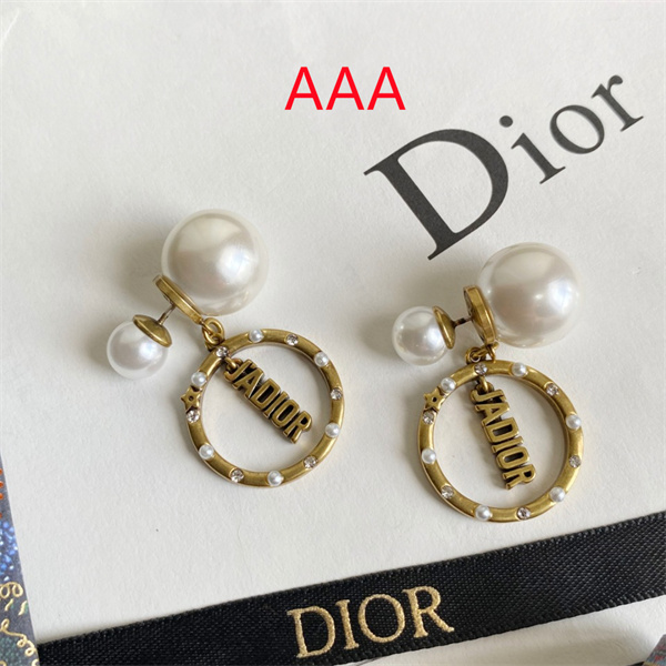 Dior Earrings-308
