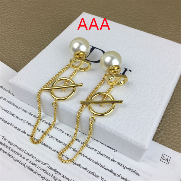 Dior Earrings-309