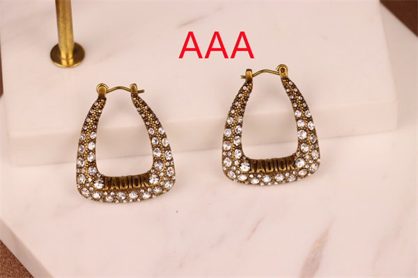 Dior Earrings-313