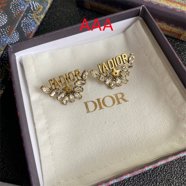 Dior Earrings-314