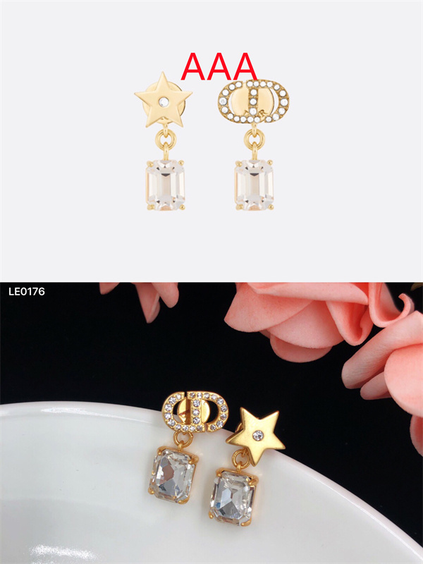 Dior Earrings-329