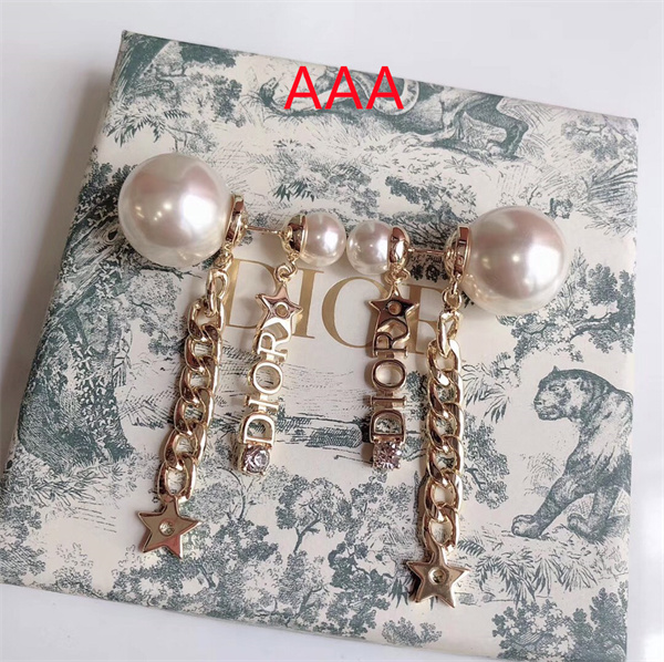 Dior Earrings-039