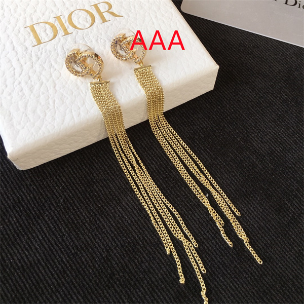 Dior Earrings-040