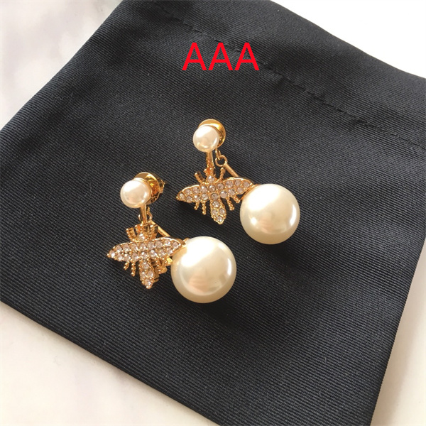 Dior Earrings-045