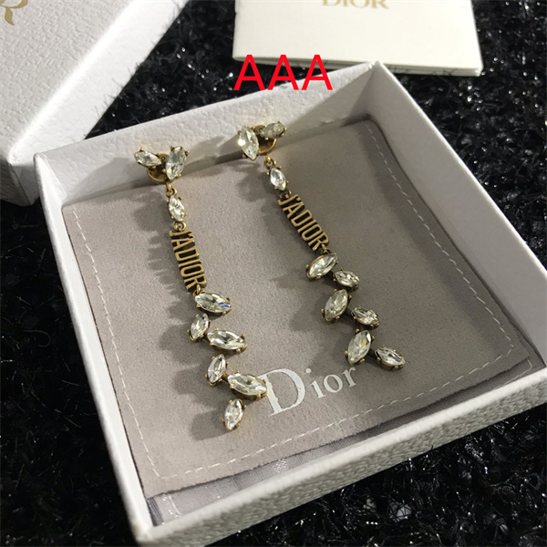 Dior Earrings-046