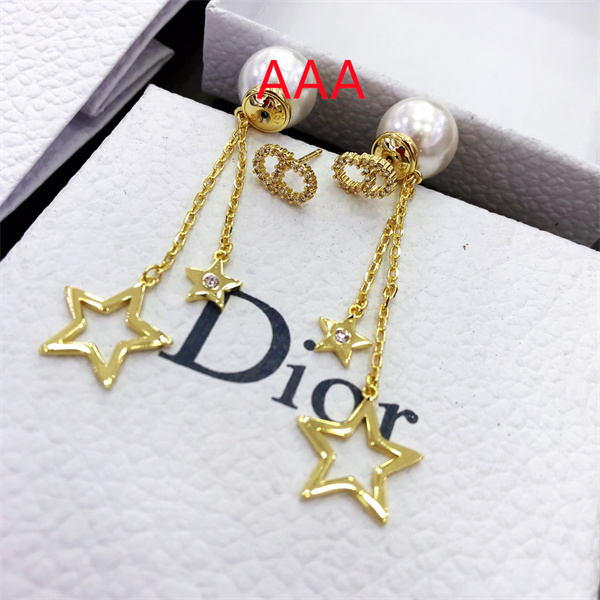 Dior Earrings-049