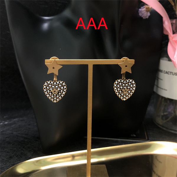 Dior Earrings-005