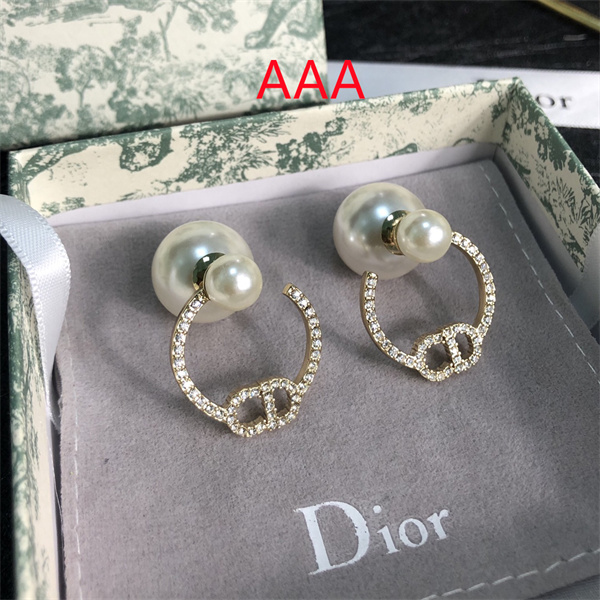 Dior Earrings-051