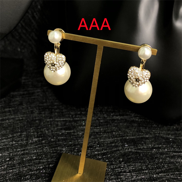 Dior Earrings-054