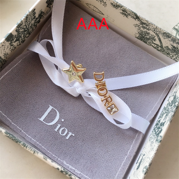 Dior Earrings-055