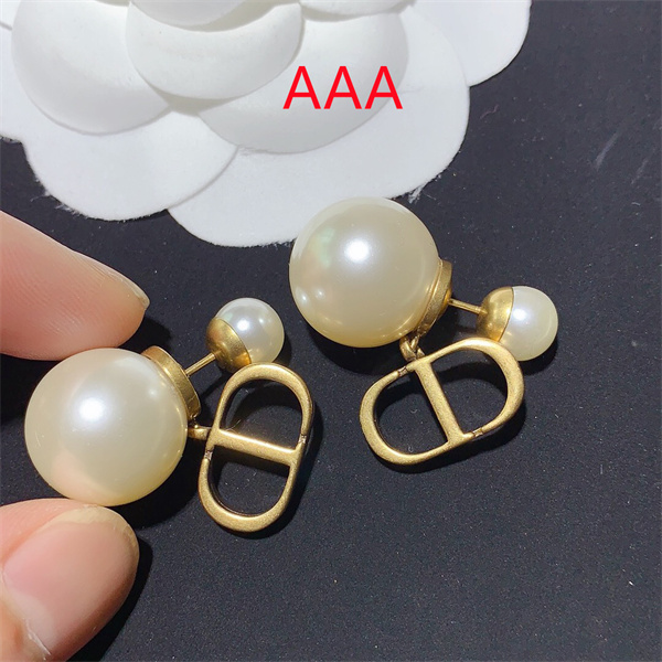 Dior Earrings-056