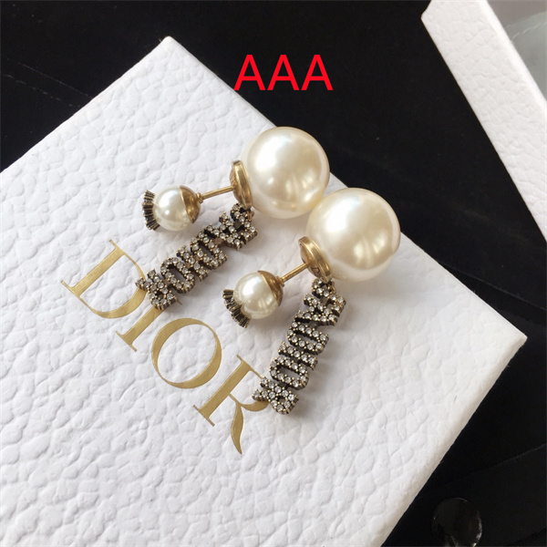 Dior Earrings-061