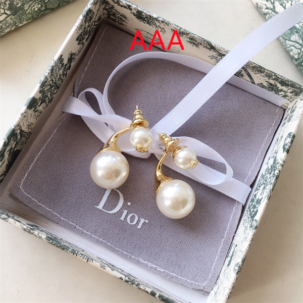 Dior Earrings-067