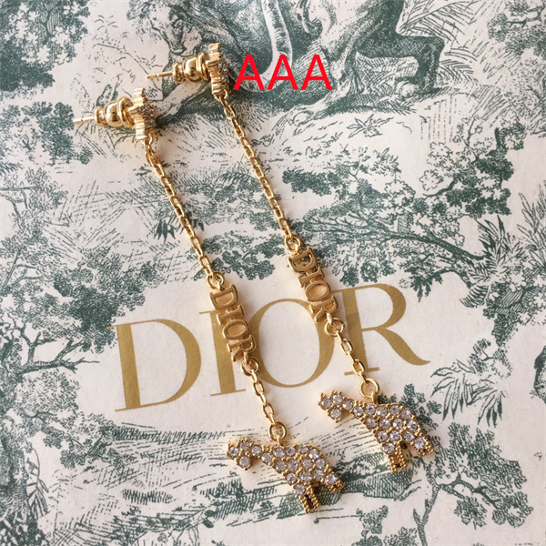 Dior Earrings-074