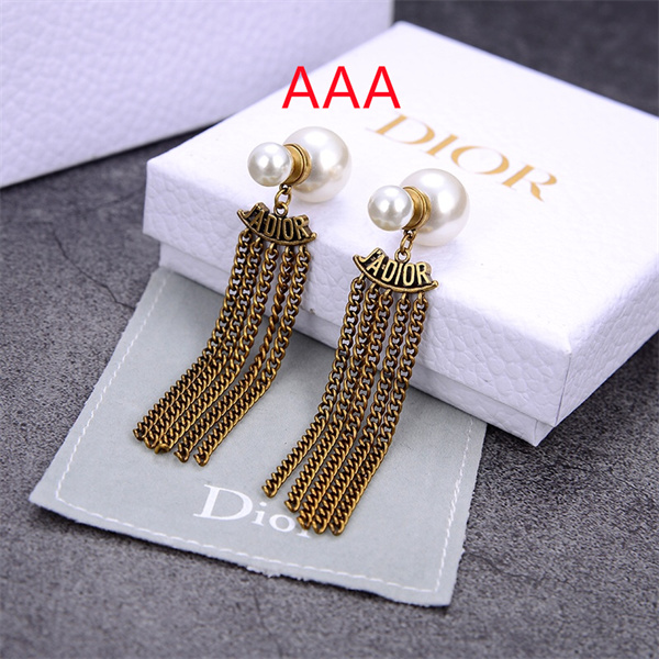 Dior Earrings-076