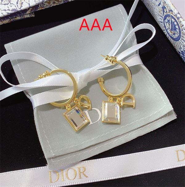 Dior Earrings-078