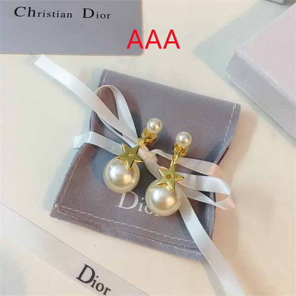Dior Earrings-088