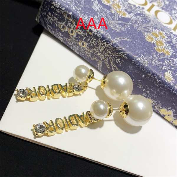 Dior Earrings-095