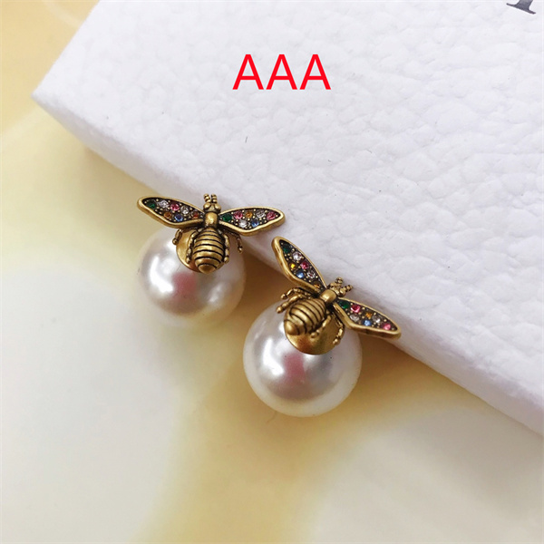 Dior Earrings-099
