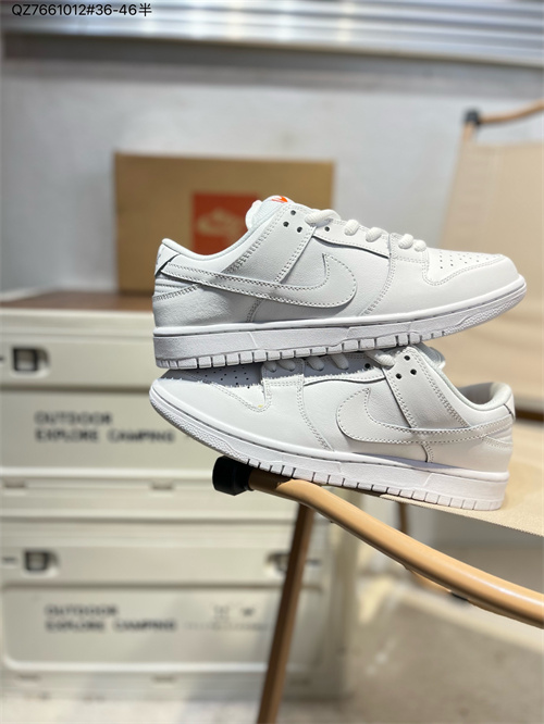 Dunk(low)-M-2405