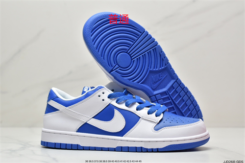 Dunk Shoes-180