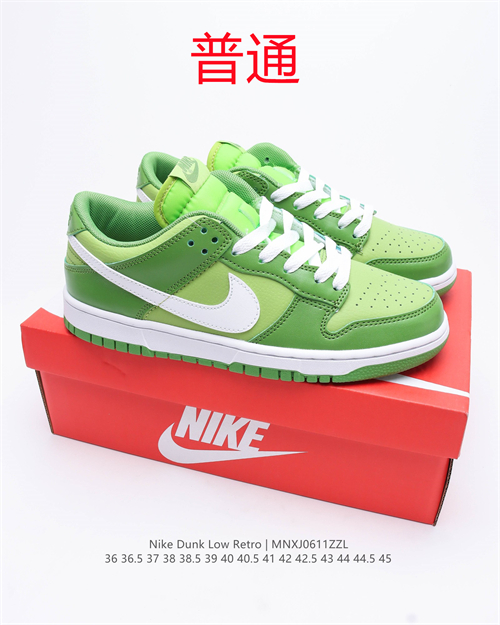 Dunk Shoes-181