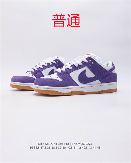 Dunk Shoes-485
