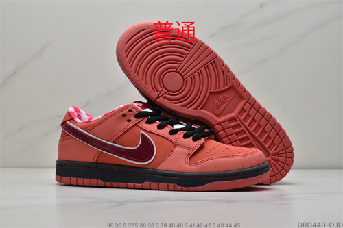 Dunk Shoes-049