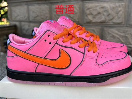 Dunk Shoes-0575