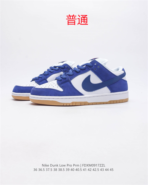 Dunk Shoes-0611