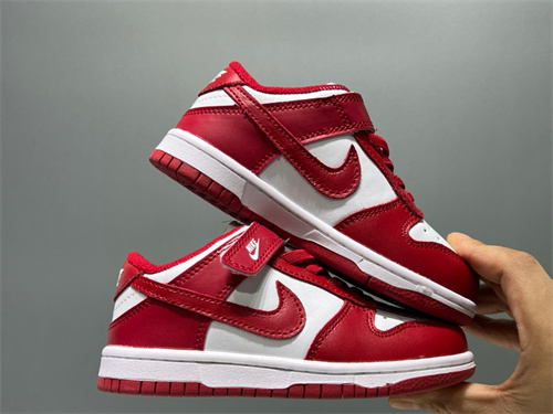 Nike Dunk(Kids)-0313