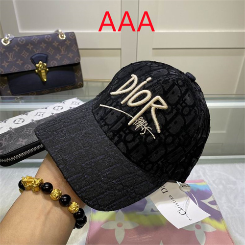 Dior-Cap(AAA)-106