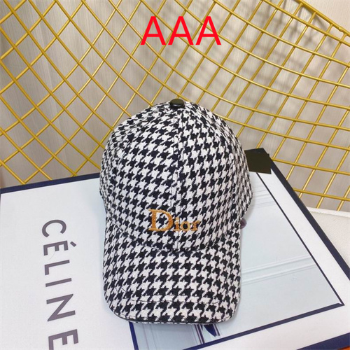 Dior-Cap(AAA)-141