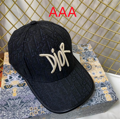 Dior-Cap(AAA)-168