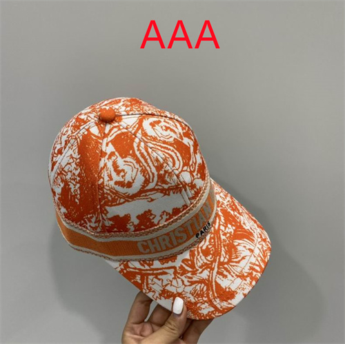 Dior-Cap(AAA)-171