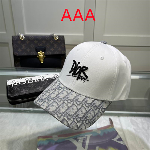 Dior-Cap(AAA)-178