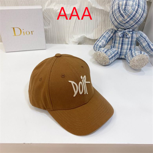 Dior-Cap(AAA)-028